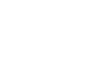 La poignée de main Blanc